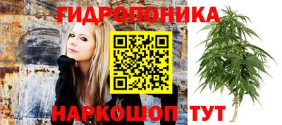 каннабис Кунгур