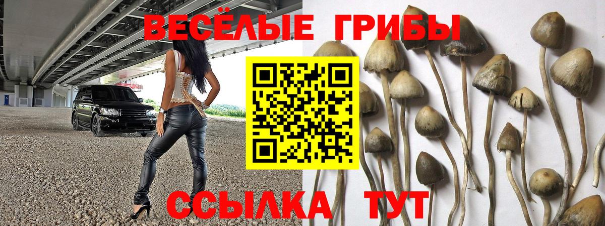 Канаш  Псилоцибиновые грибы MAGIC MUSHROOMS  Вход с VPN 